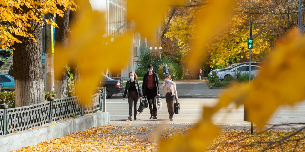 Картинка для новости