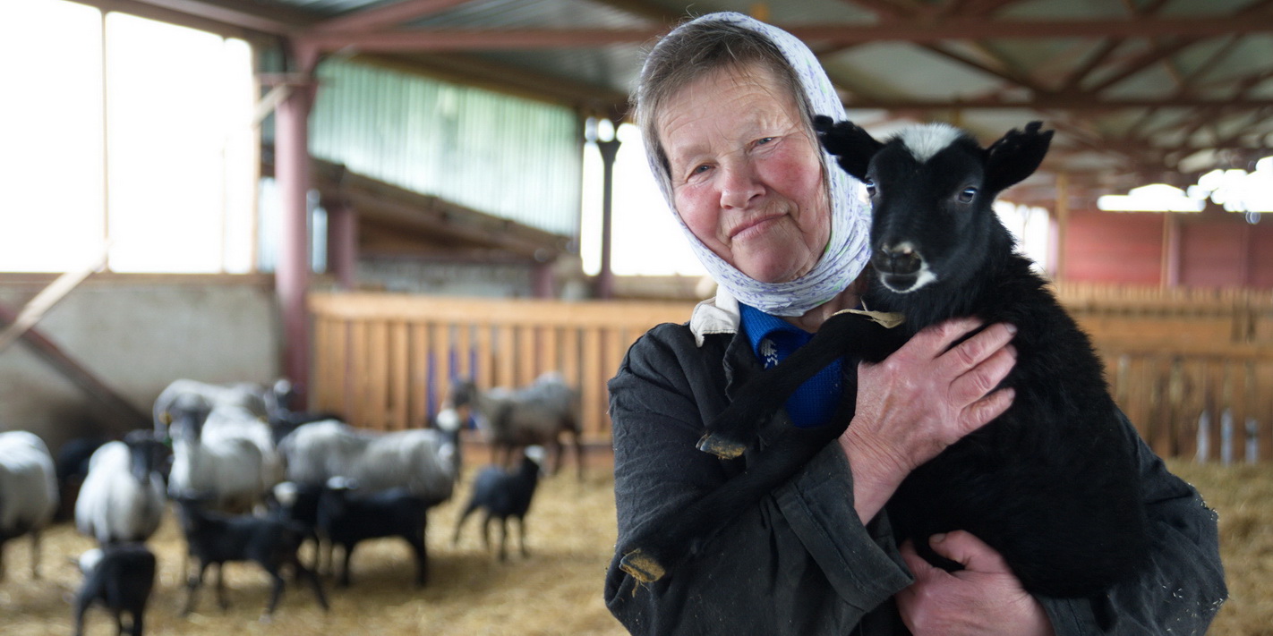 Картинка для новости