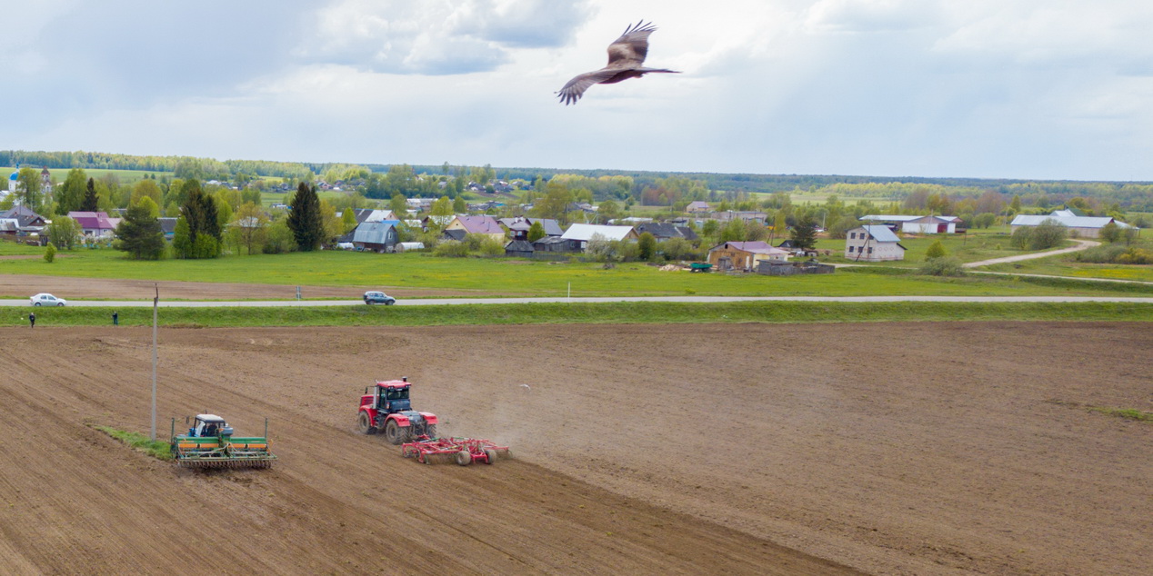 Картинка для новости
