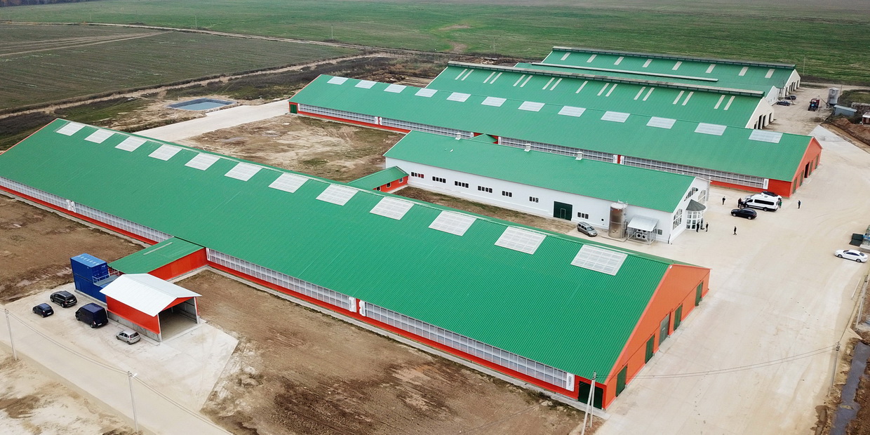 Картинка для новости