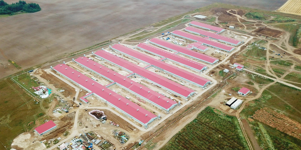 Картинка для новости