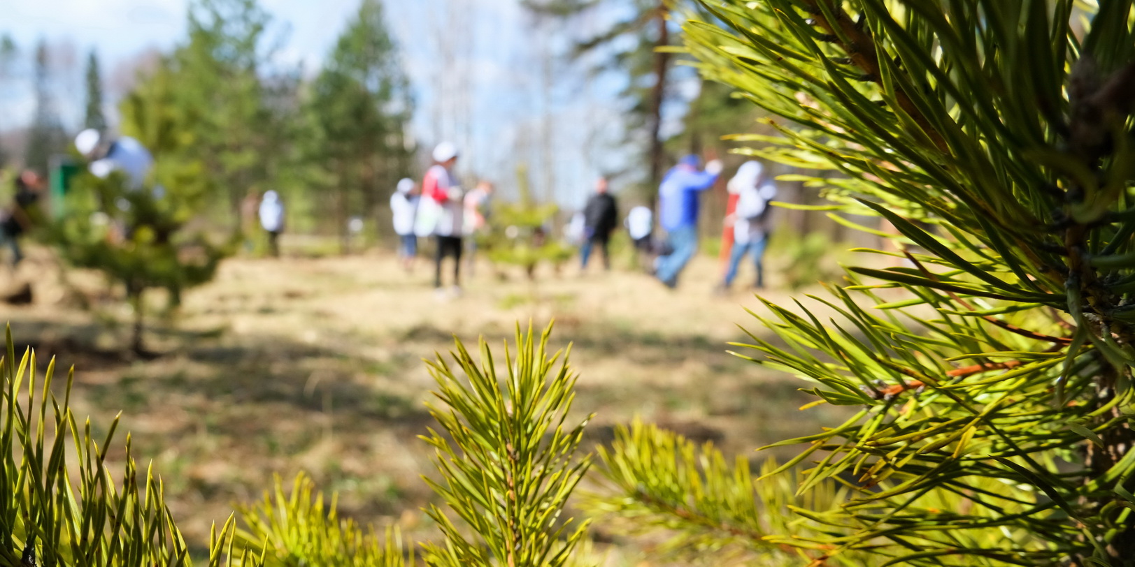 Картинка для новости