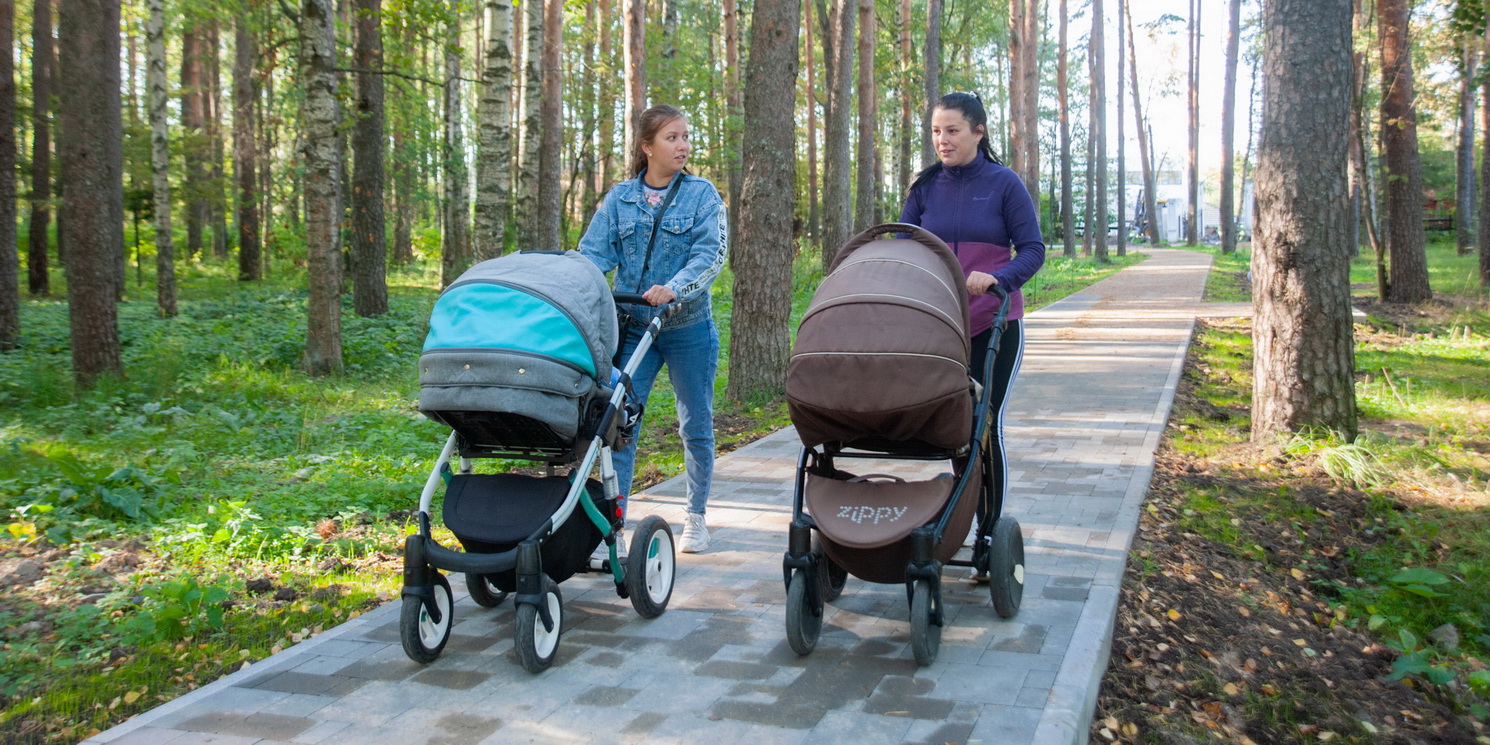 Картинка для новости