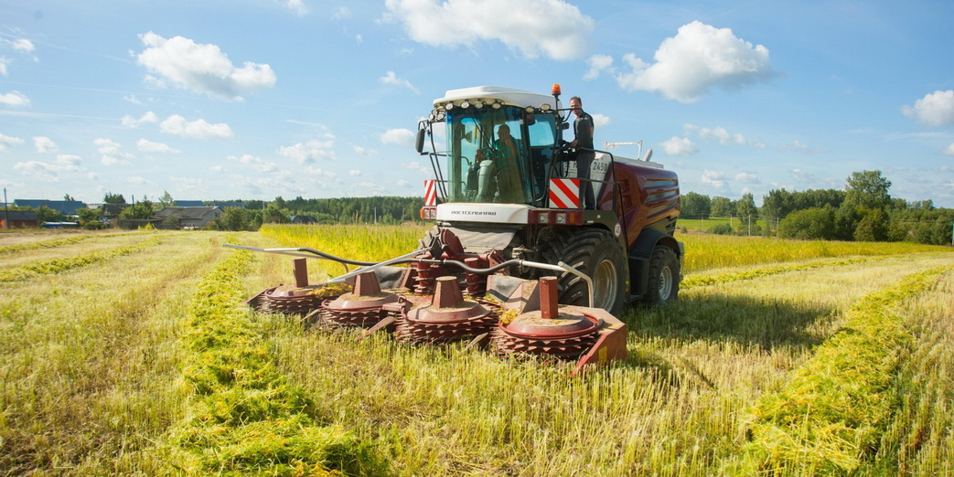 Картинка для новости
